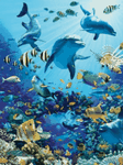 pic for Dolphin 3D 1